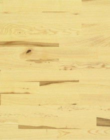 Ash Rustic